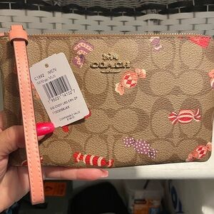 Coach Candy Corner Zip Pouch